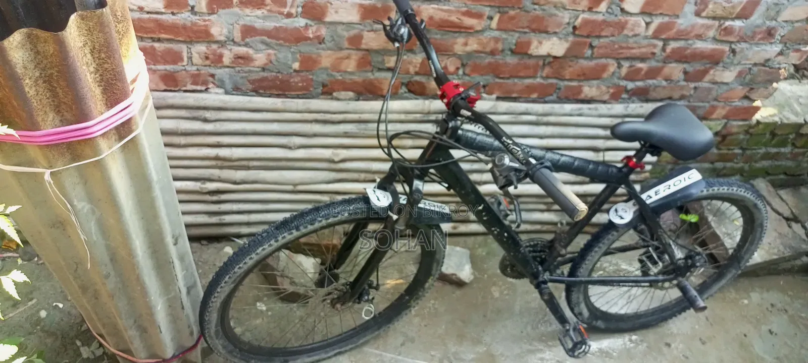 Capriolo Cycle