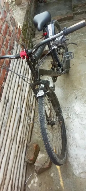 Capriolo Cycle