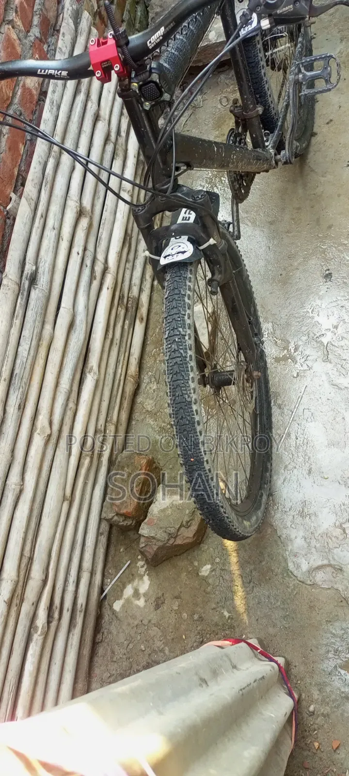 Capriolo Cycle