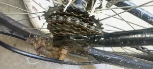 Capriolo Cycle
