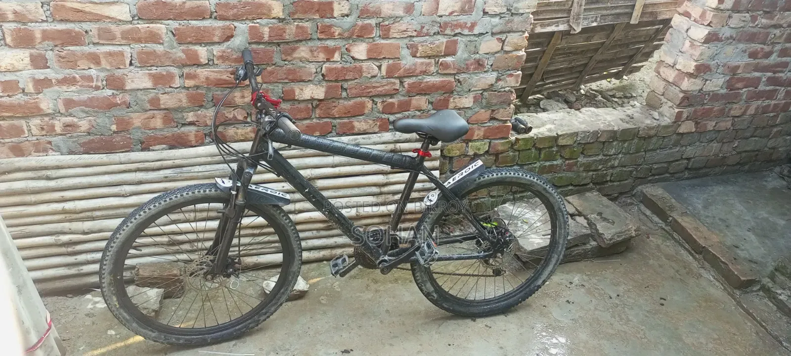 Capriolo Cycle