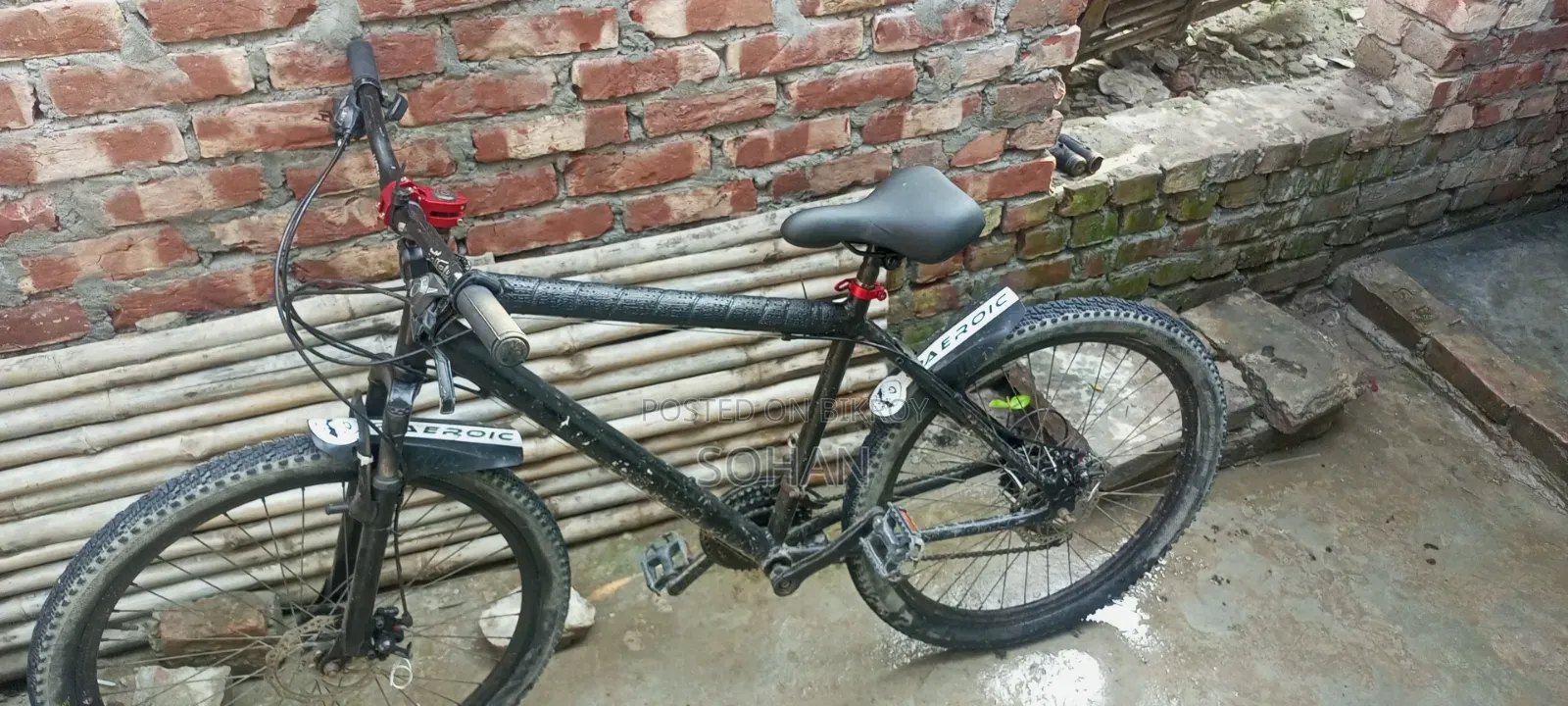 Capriolo Cycle