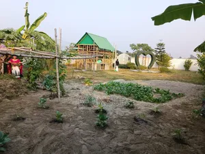 03 Katha South Facing Plot at Asulia Model Town Will Be Sold