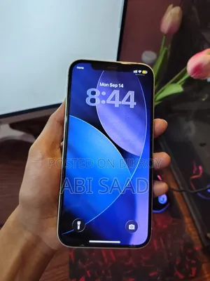 অ্যাপল আইফোন ১২ ১২৮ জিবি গ্রিন