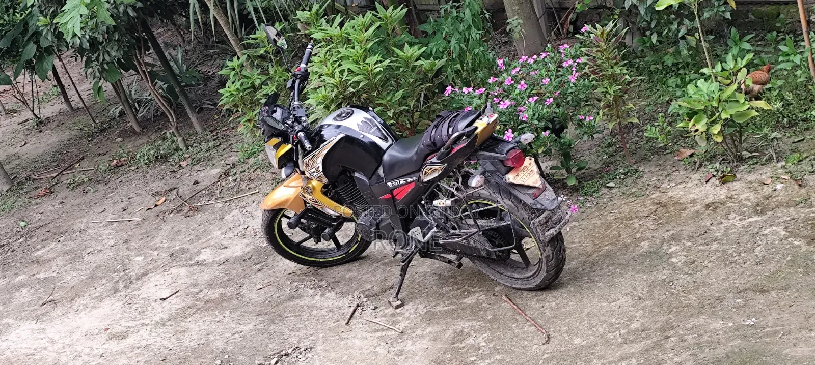 Yamaha FZ 2011 Black
