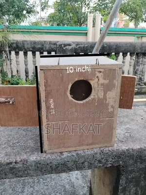 Breeding Box for Sale