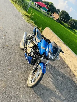 বাজাজ পালসার ১৫০ ২০২৫ ব্লু