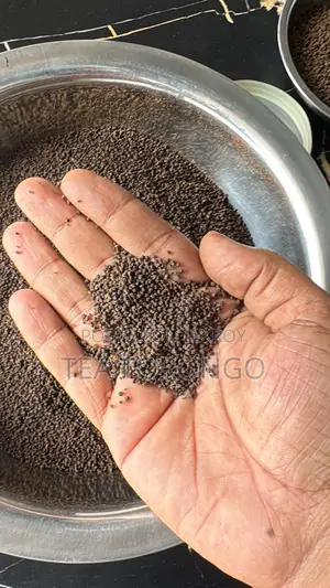 অর্থোডক্স গ্রিন টি