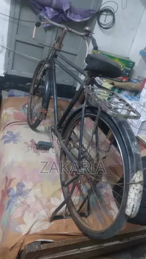 ডাবল রডের সাইকেল
