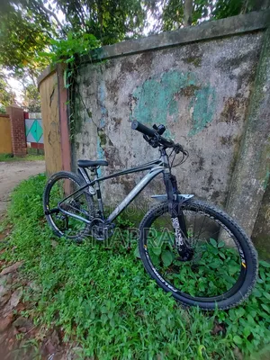 ফ্যালকন থান্ডার বার্ড নতুন ডার্ক গ্রে এডিশন