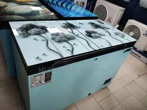 300 LTR Walton WCG-3J0 Freezer