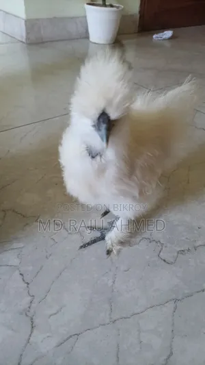 দেখতে সুন্দর
