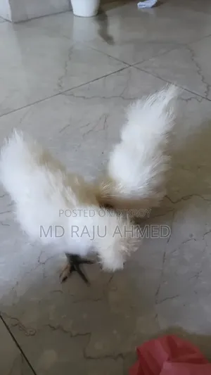 দেখতে সুন্দর