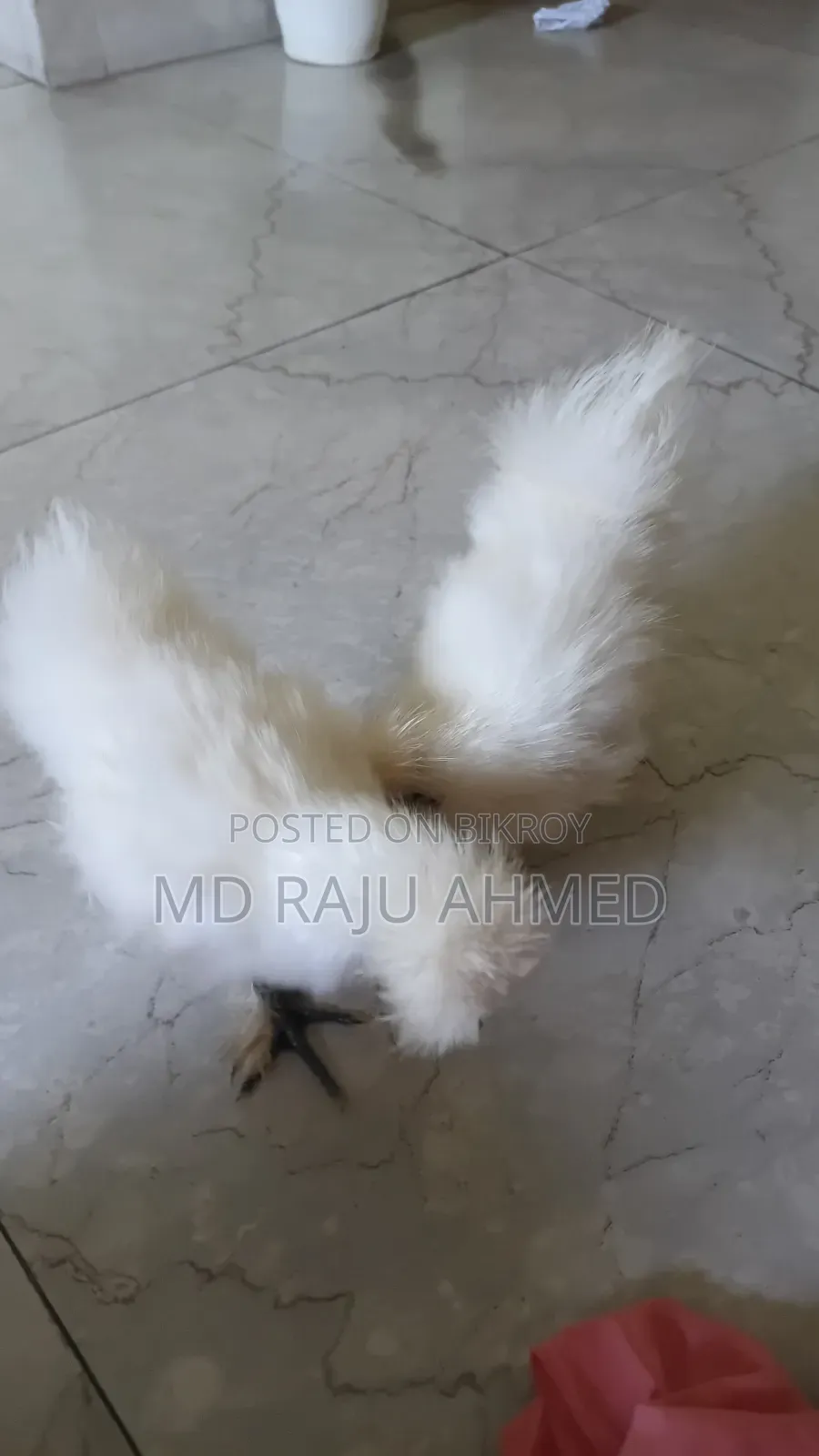 দেখতে সুন্দর