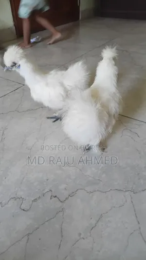 দেখতে সুন্দর