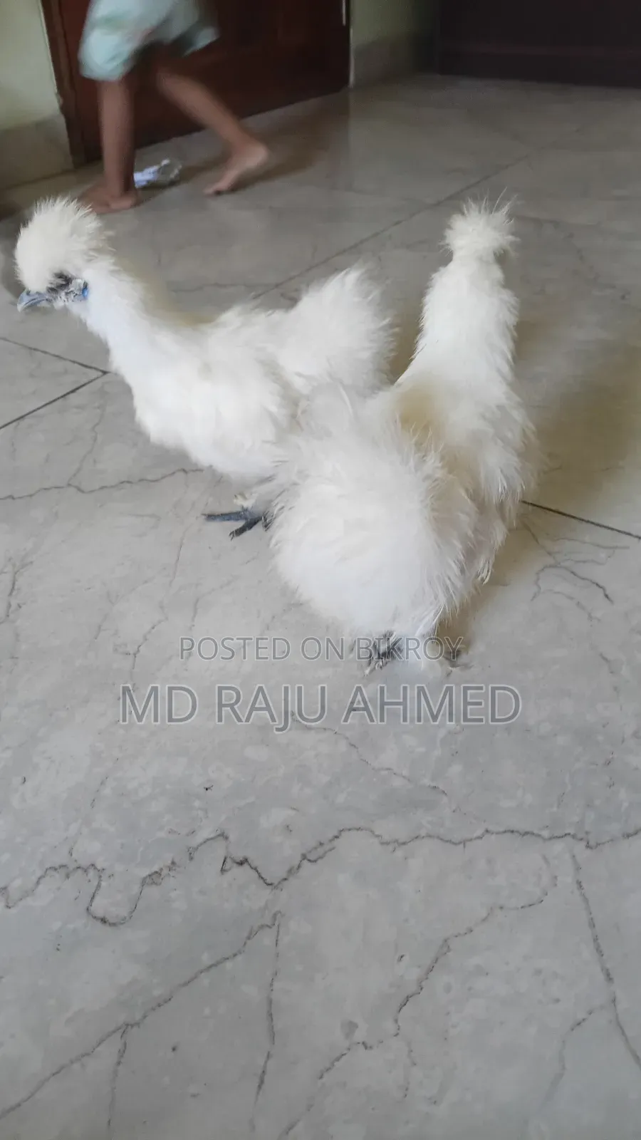 দেখতে সুন্দর