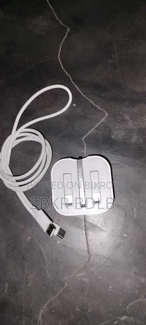Apple Charger