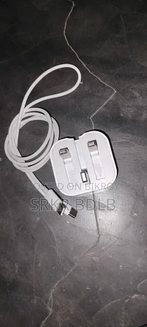 Apple Charger