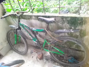 বাই সাইকেল