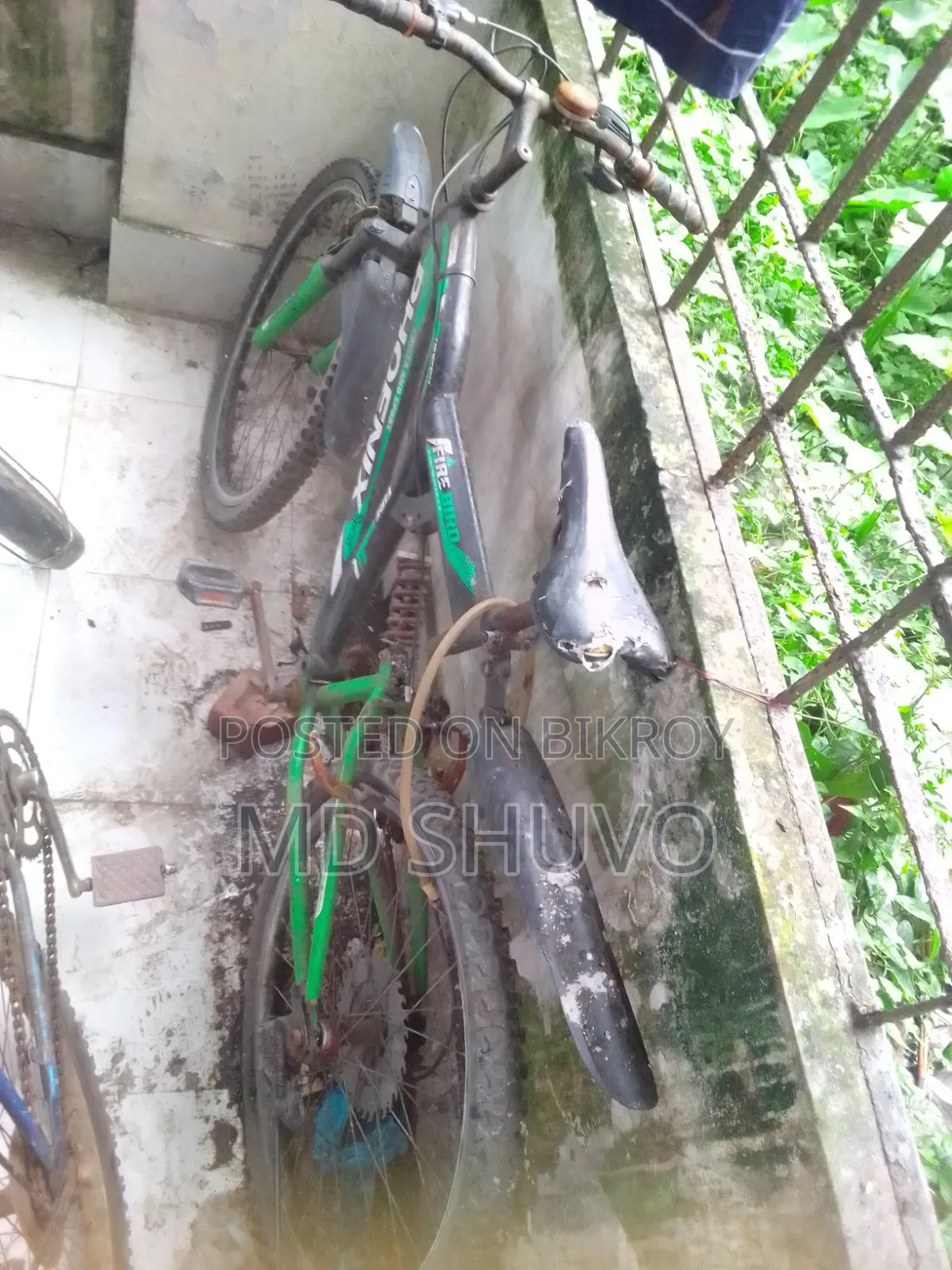 বাই সাইকেল