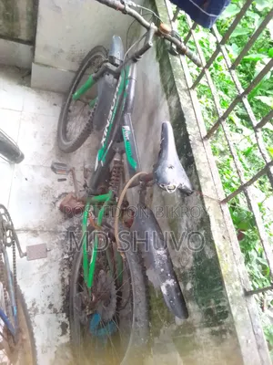 বাই সাইকেল