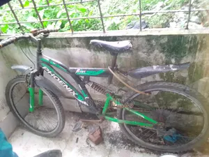 বাই সাইকেল