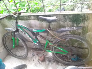 বাই সাইকেল