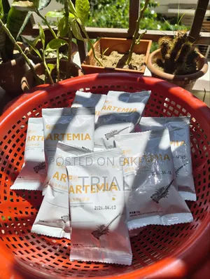 Brine Shrimp (Artimia)