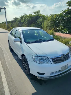 Toyota Corolla 2005 White