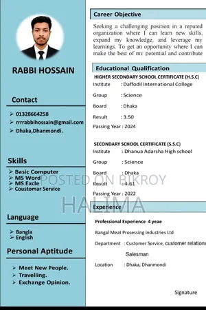 Professional CV Making