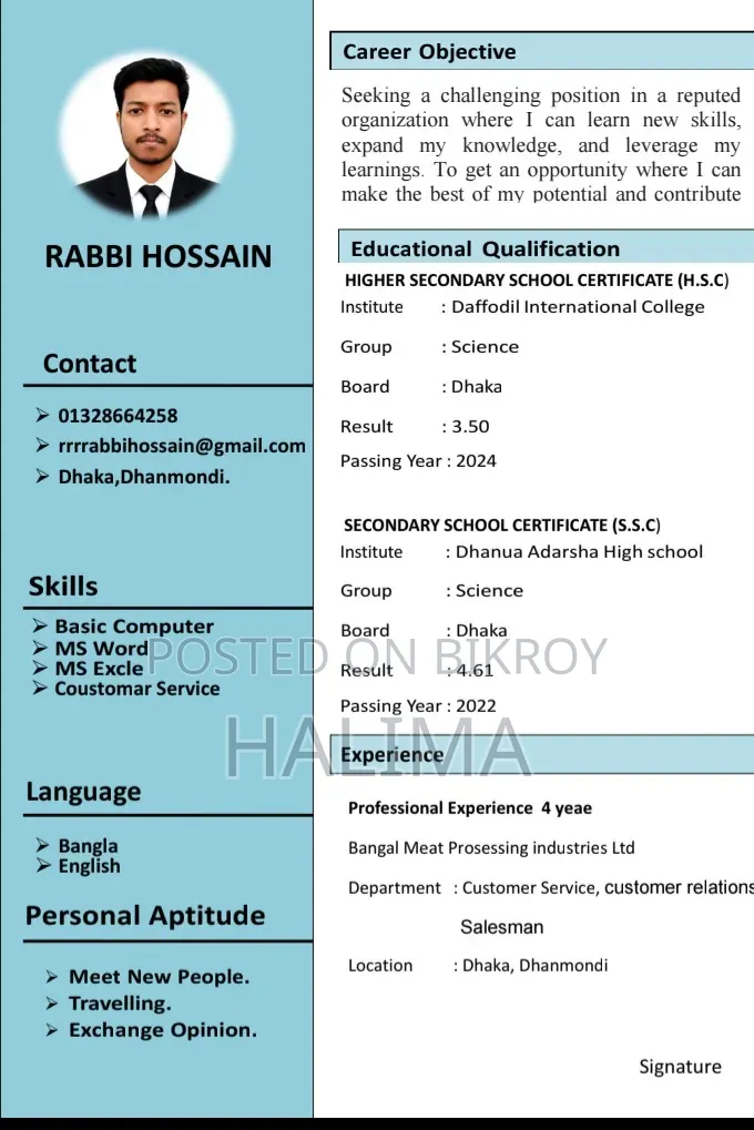 Professional CV Making