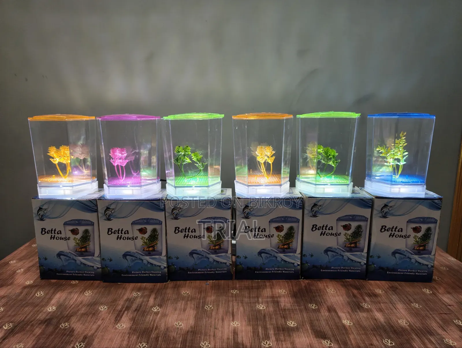 Mini Aquarium (Intake)