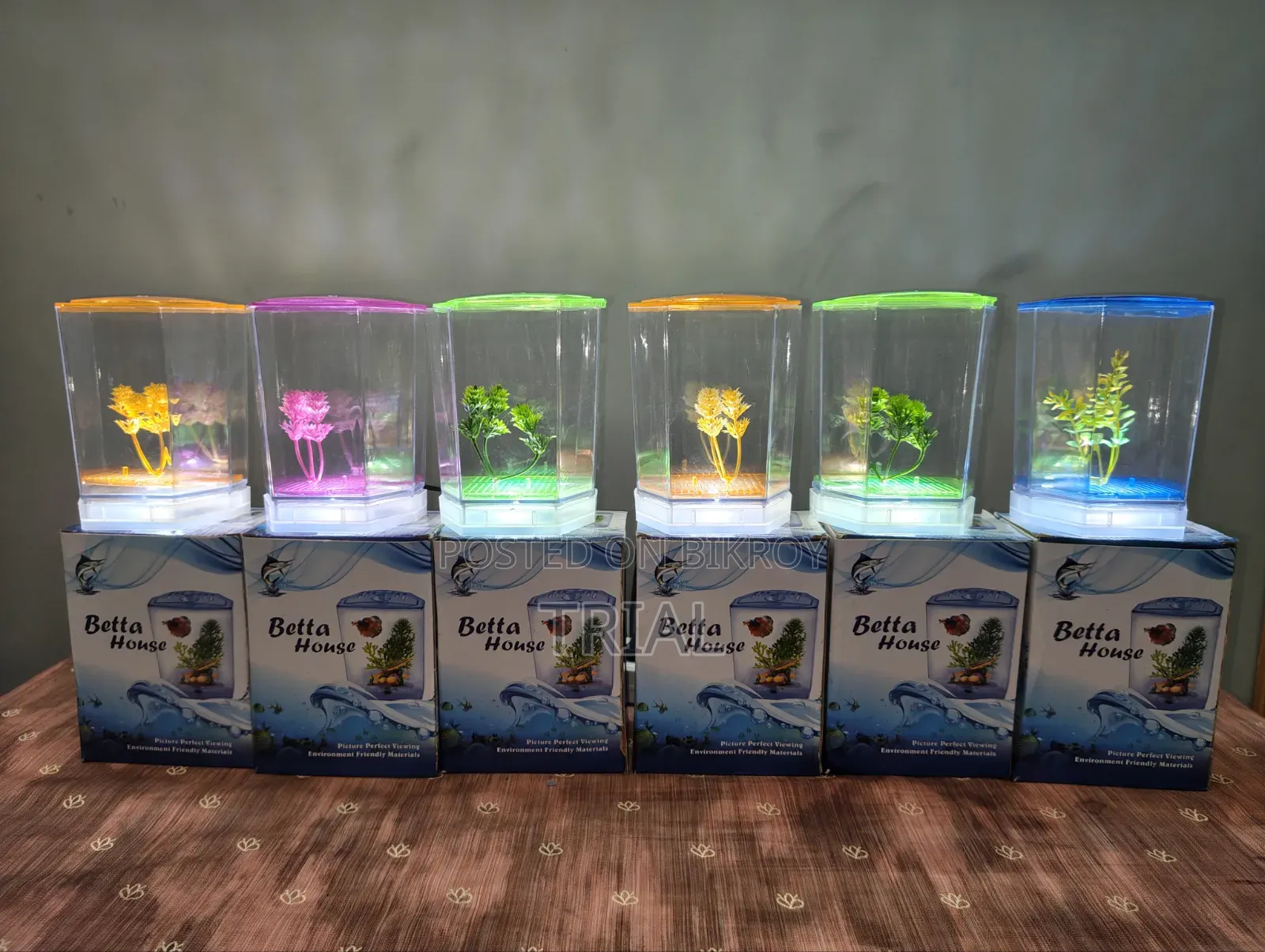 Mini Aquarium (Intake)