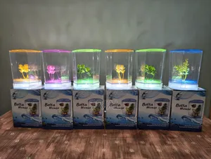 Mini Aquarium (Intake)
