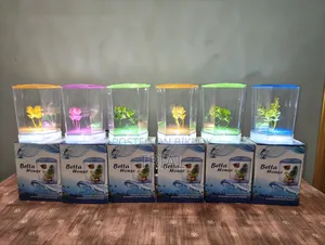 Mini Aquarium (Intake)