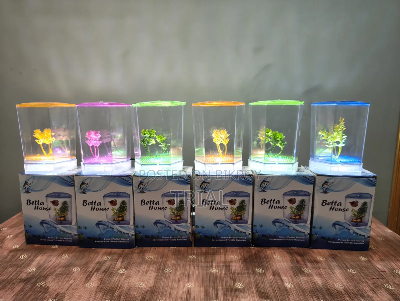 Mini Aquarium (Intake)