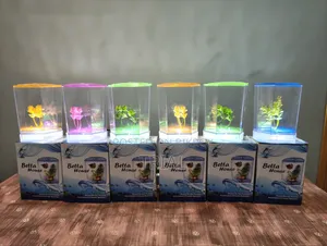 Mini Aquarium (Intake)