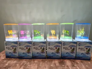 Mini Aquarium (Intake)