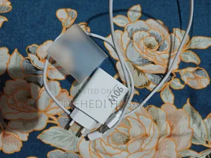 শাওমি ৯০ডব্লিউ অরিজিনাল চার্জার