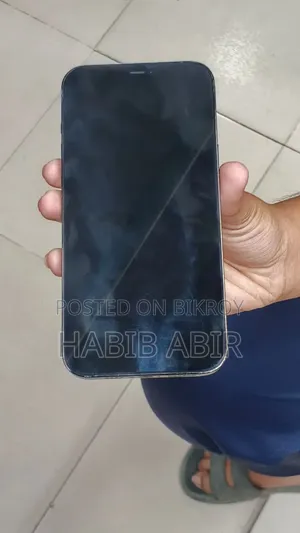 অ্যাপল আইফোন ১২ প্রো ম্যাক্স ১২৮ জিবি ব্লু