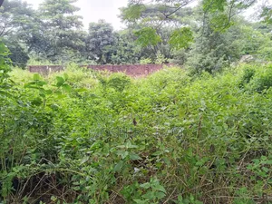সিলিকন সিটি বড়বড়দেশী