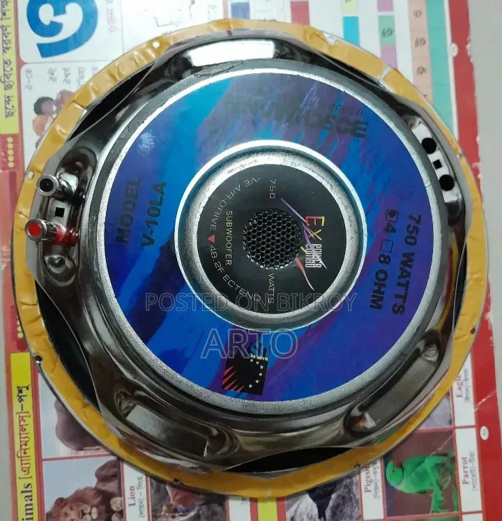 Subwoofer ( Boschmann 10 Inch)