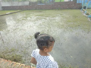 জমি বিক্রি