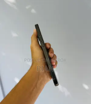Apple iPhone 16 Pro Max 512 GB Black