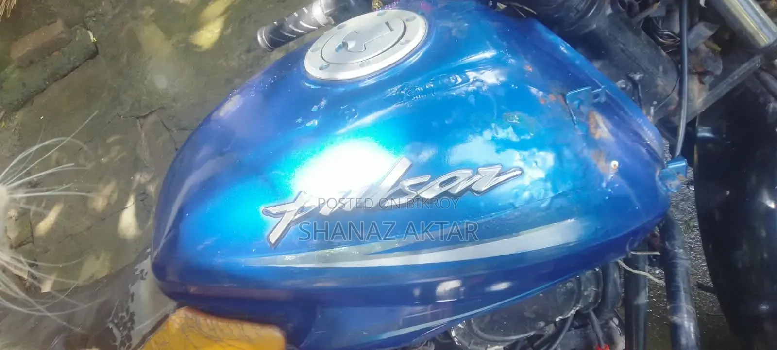 Pulser Oil Tank