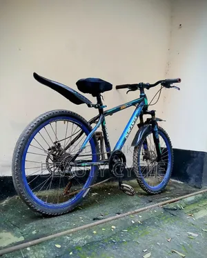 Duranta 24" Gear Cycle.
For those under 5 feet 4", this is for them.