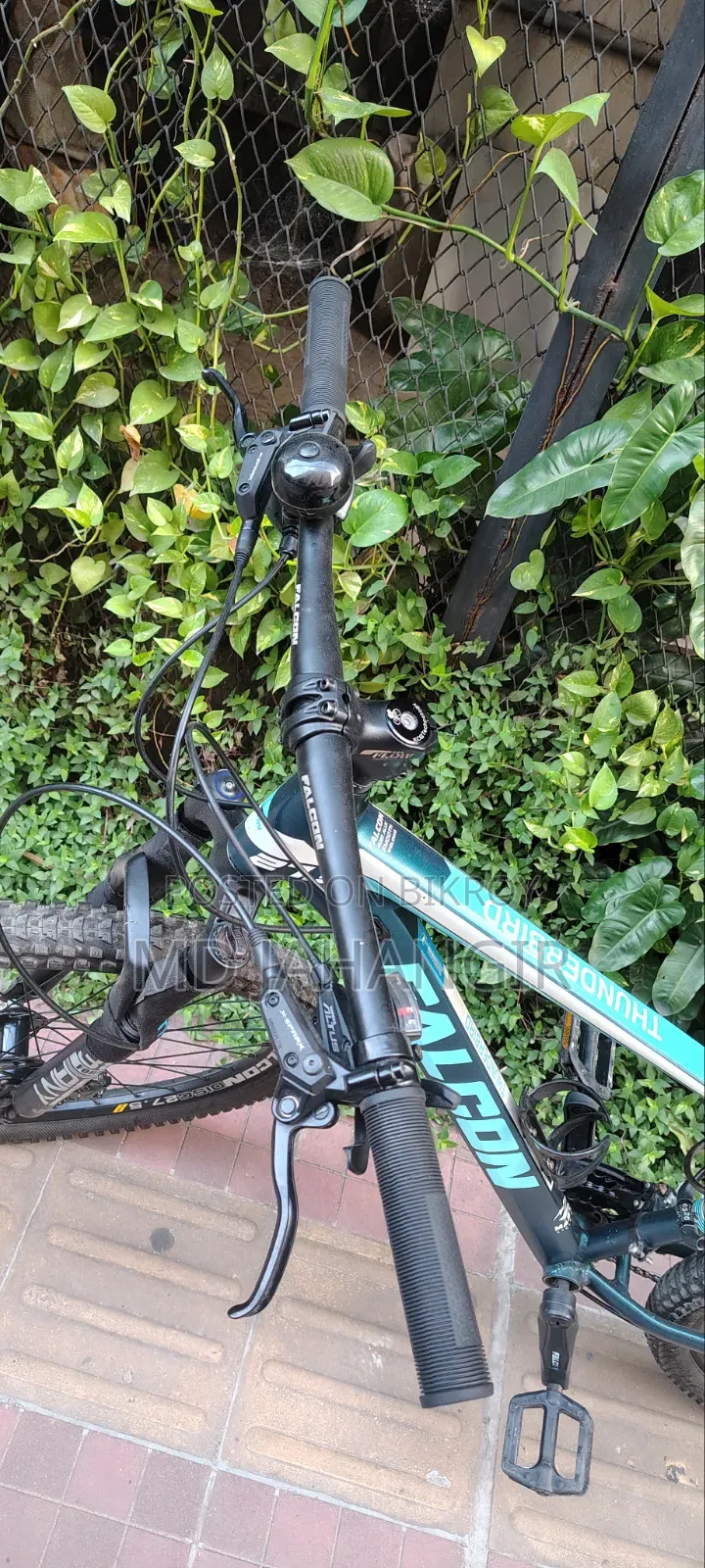 99% Fresh Condition, 100% OK Bicycle