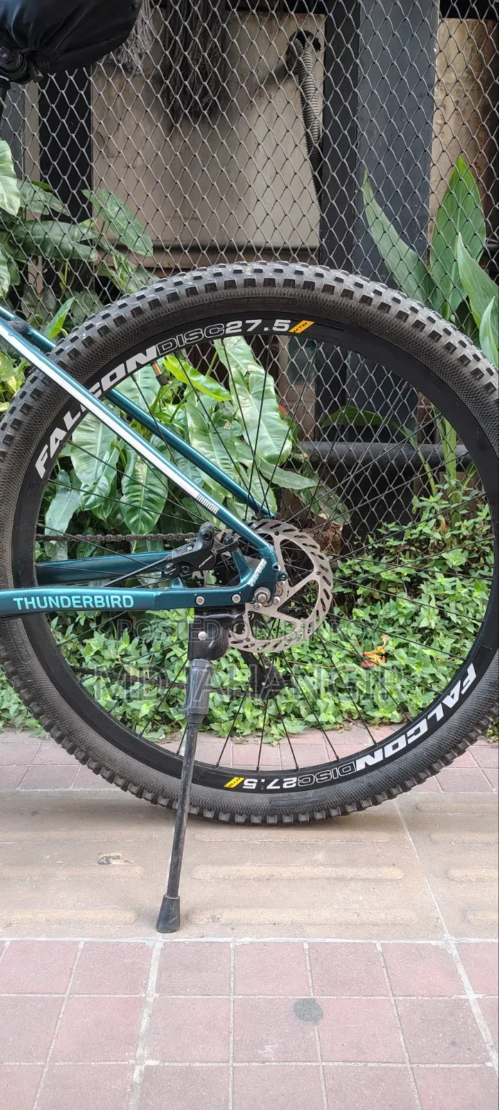99% Fresh Condition, 100% OK Bicycle