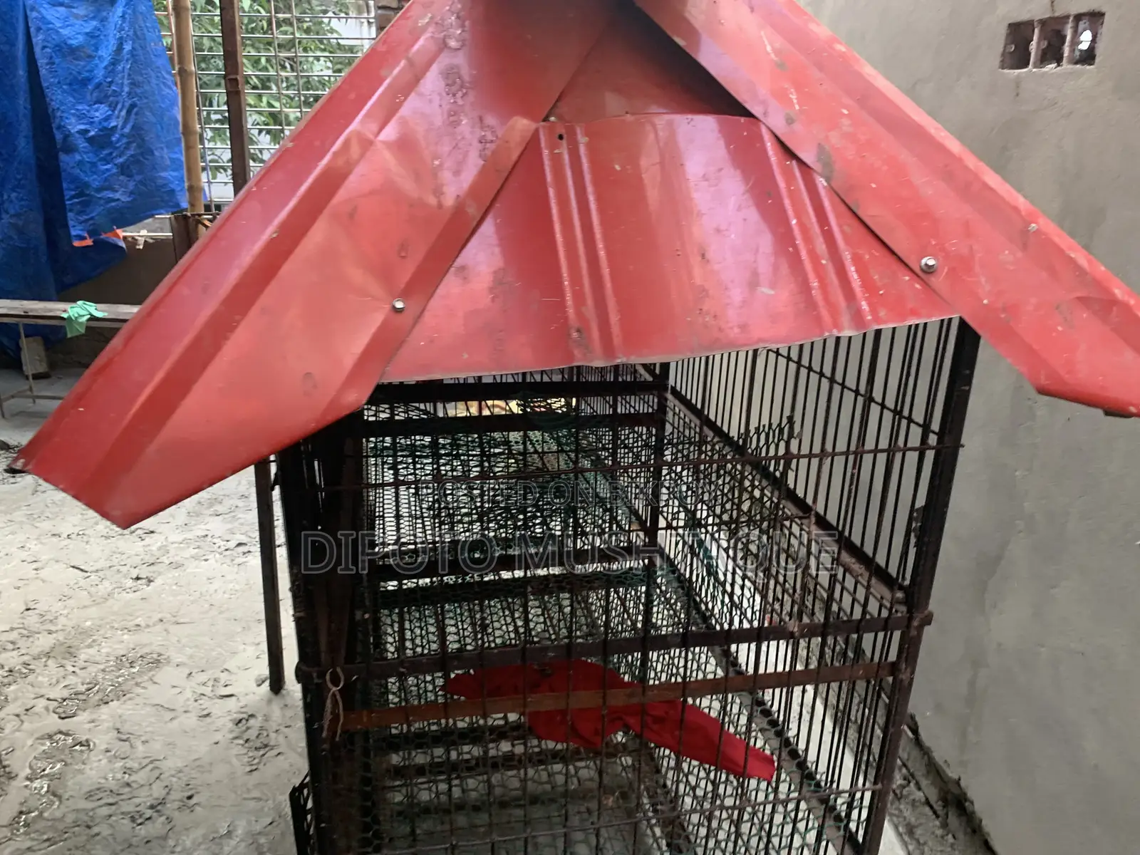 Cage for Sale