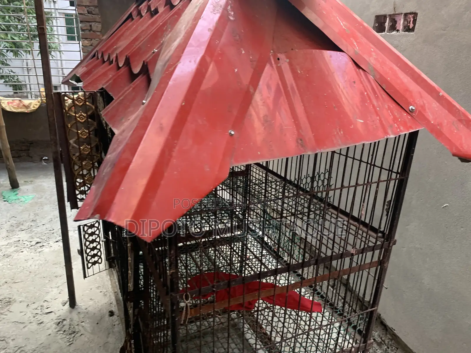 Cage for Sale